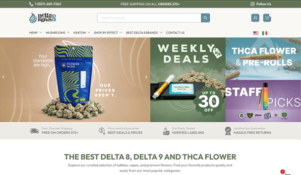 Delta 8 Minds website design