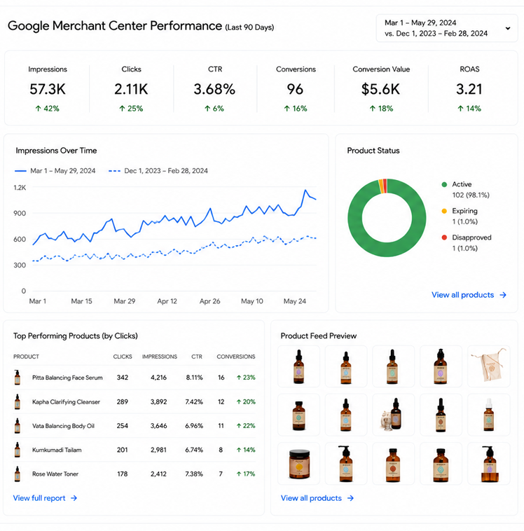Paavani Google Merchant Center performance